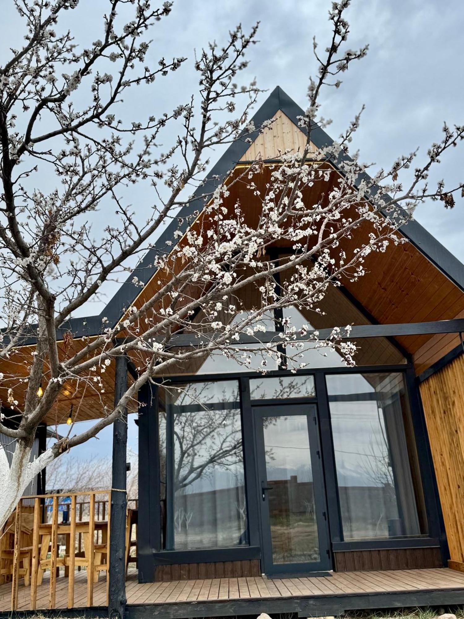 Coral Houses Tossor 外观 照片